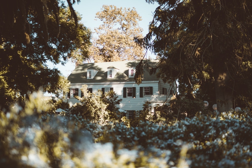 A house surrounded by trees and bushes.