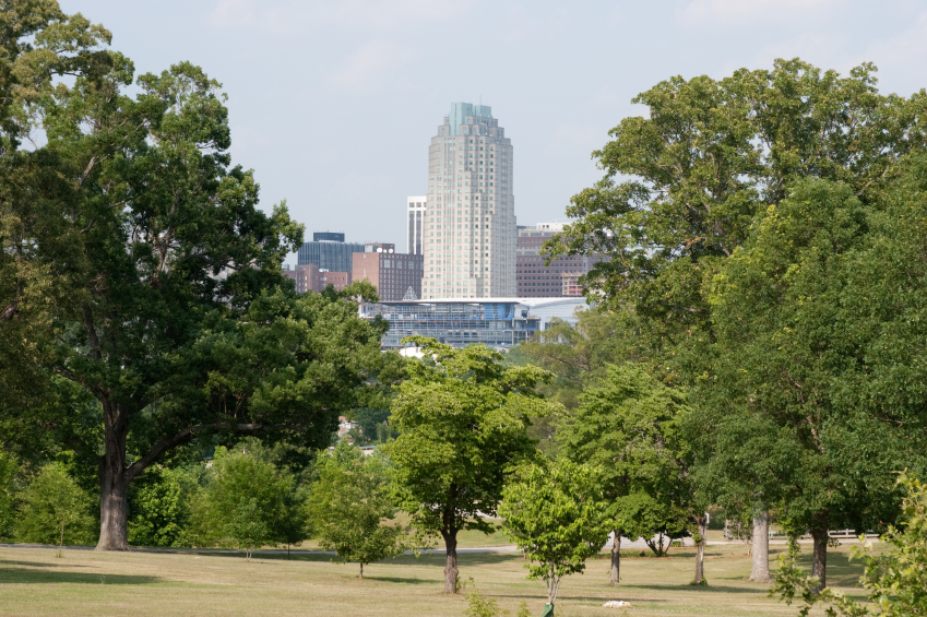 shot of Raleigh skyscrapers through the trees