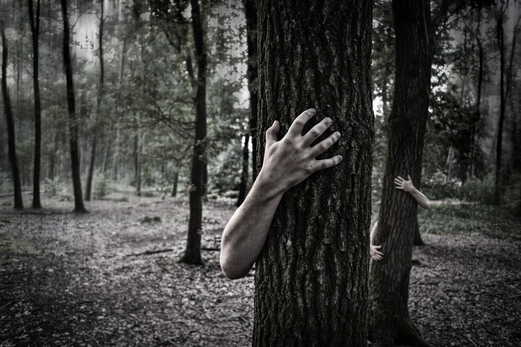 Spooky hands wrapped around a tree.