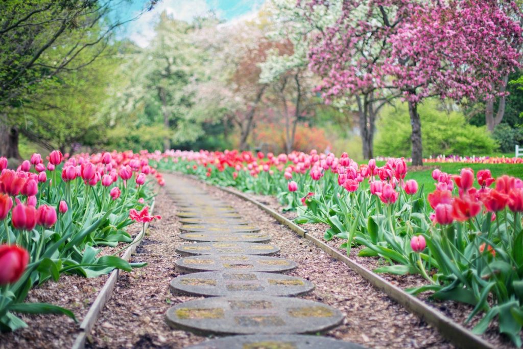 Arboretum and other romantic spots around the Triangle